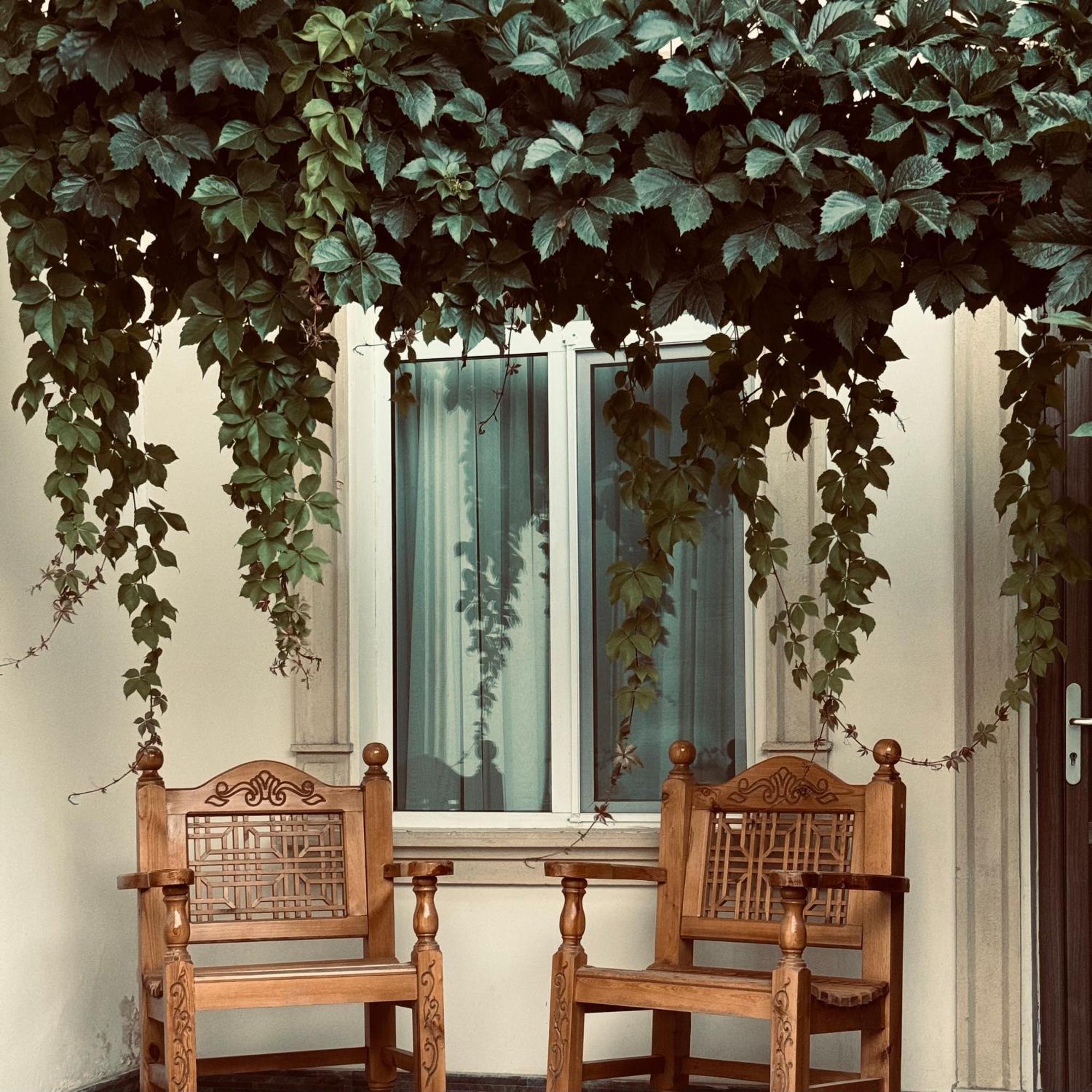 סמרקנד The Loft Guest House מראה חיצוני תמונה